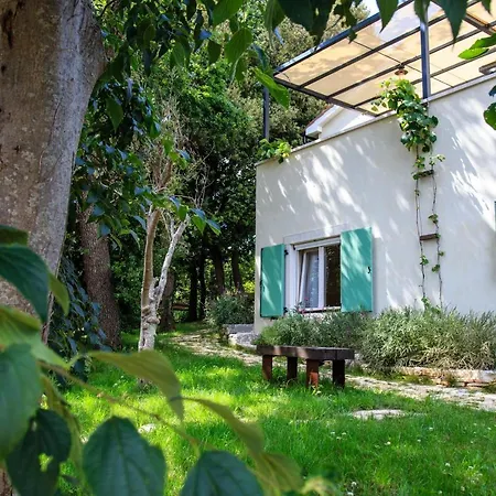 Mikula * クルニカ